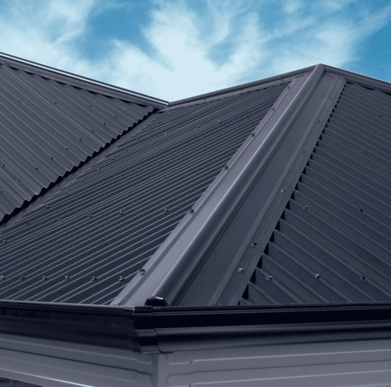 gutter cleaning sarnia